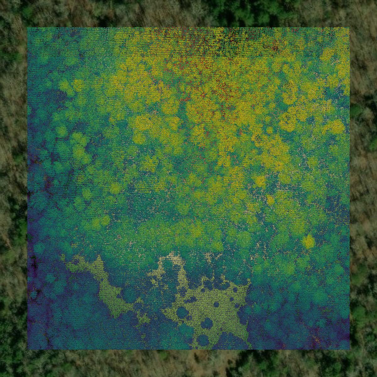 This image shows a LiDAR point cloud in Autauga County created using GIS data in Equator.
