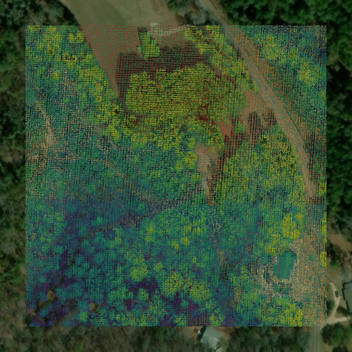 This image shows a LiDAR point cloud in Autauga County created using GIS data in Equator.