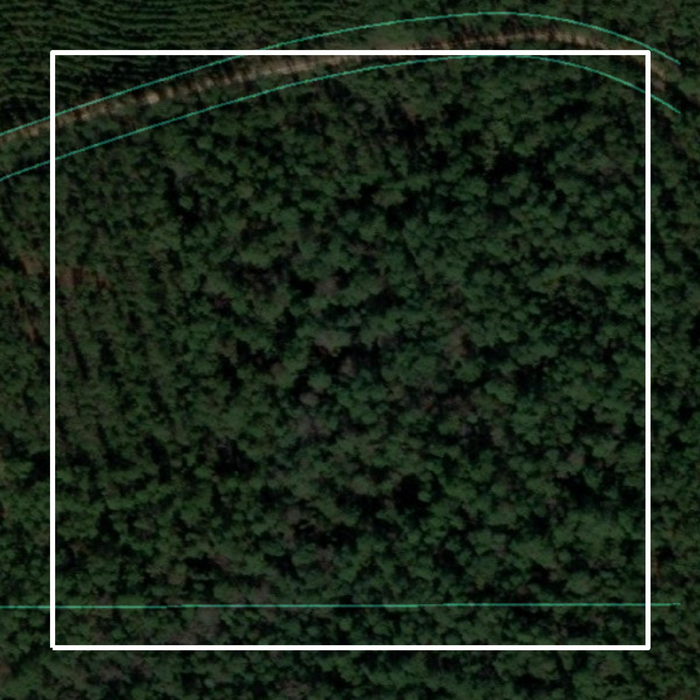 This image shows parcel and building data in Baldwin County created using GIS data in Equator.