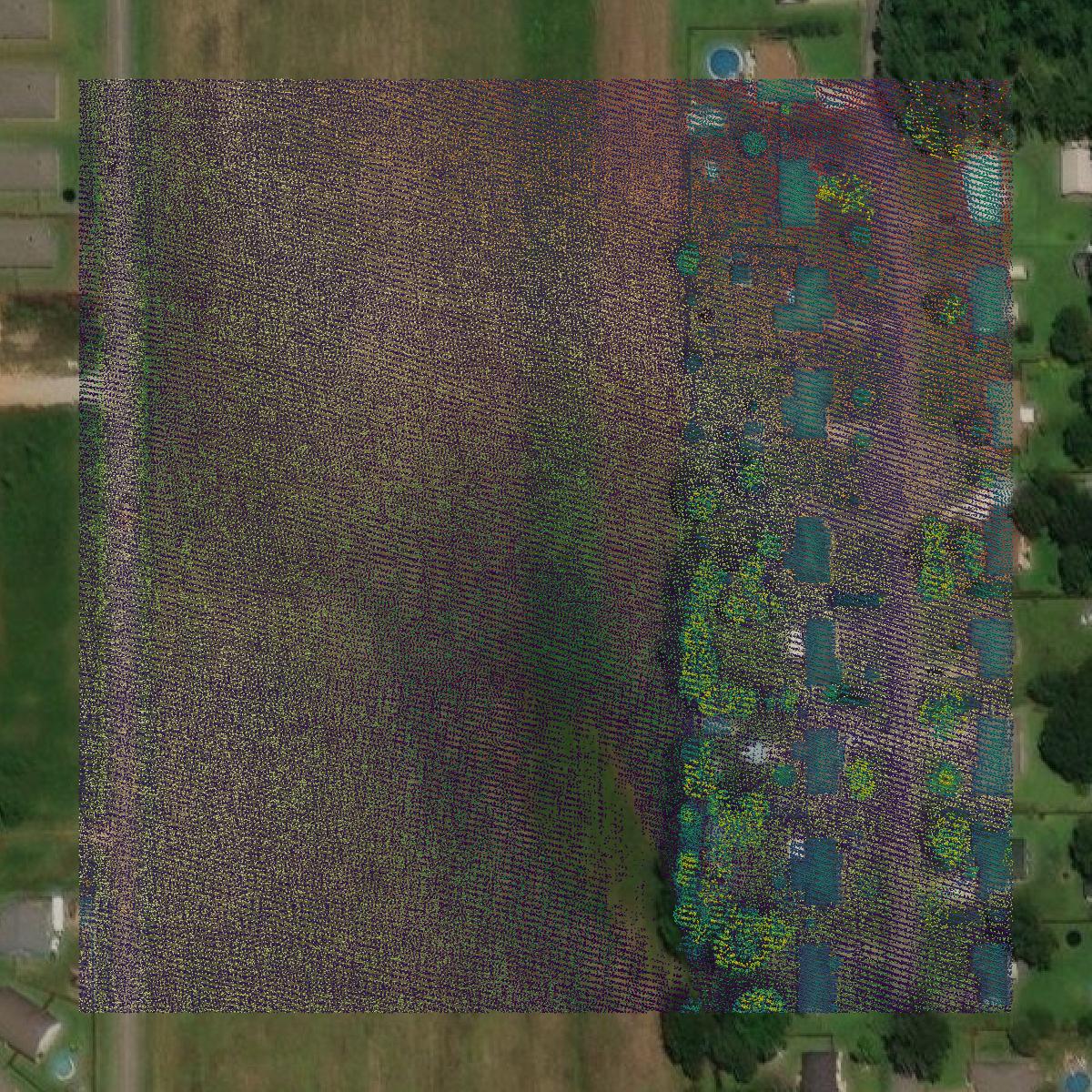 This image shows a LiDAR point cloud in Baldwin County created using GIS data in Equator.