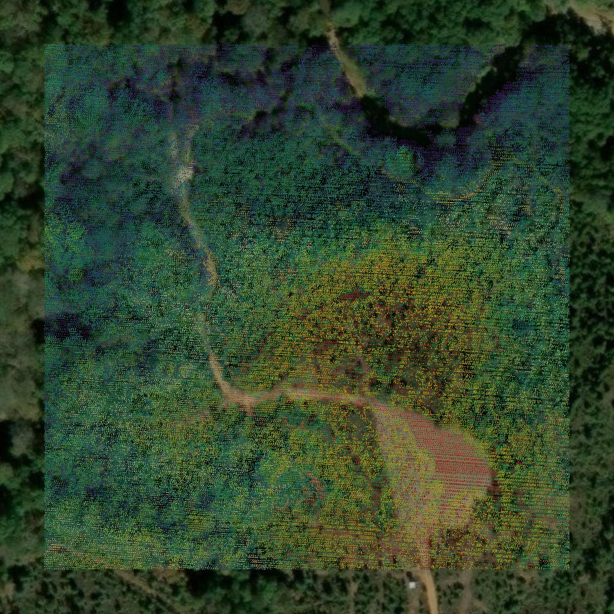 This image shows a LiDAR point cloud in Barbour County created using GIS data in Equator.