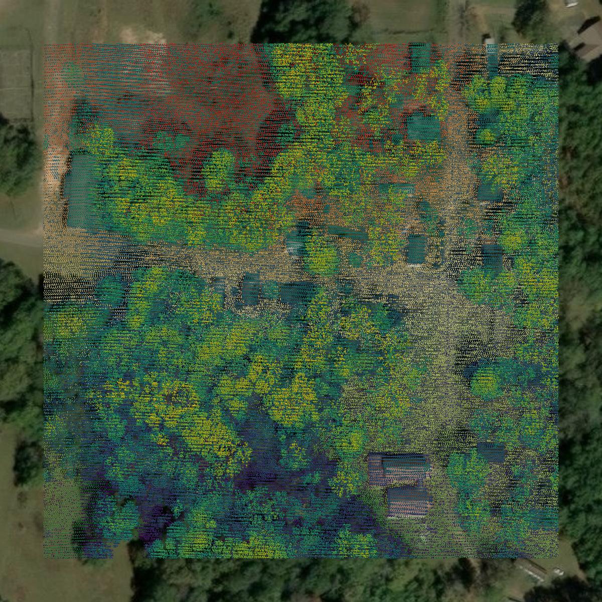This image shows a LiDAR point cloud in Barbour County created using GIS data in Equator.