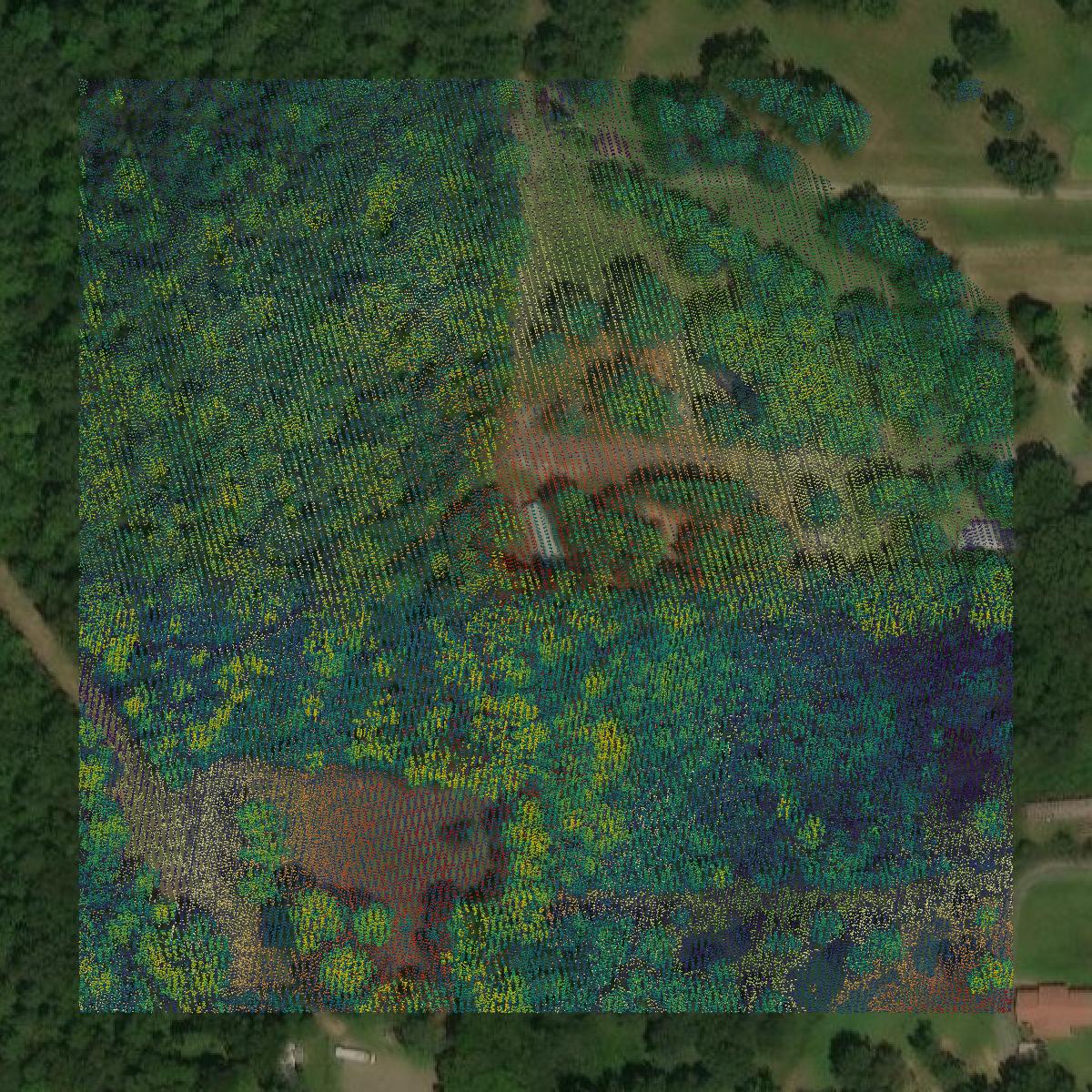 This image shows a LiDAR point cloud in Bibb County created using GIS data in Equator.