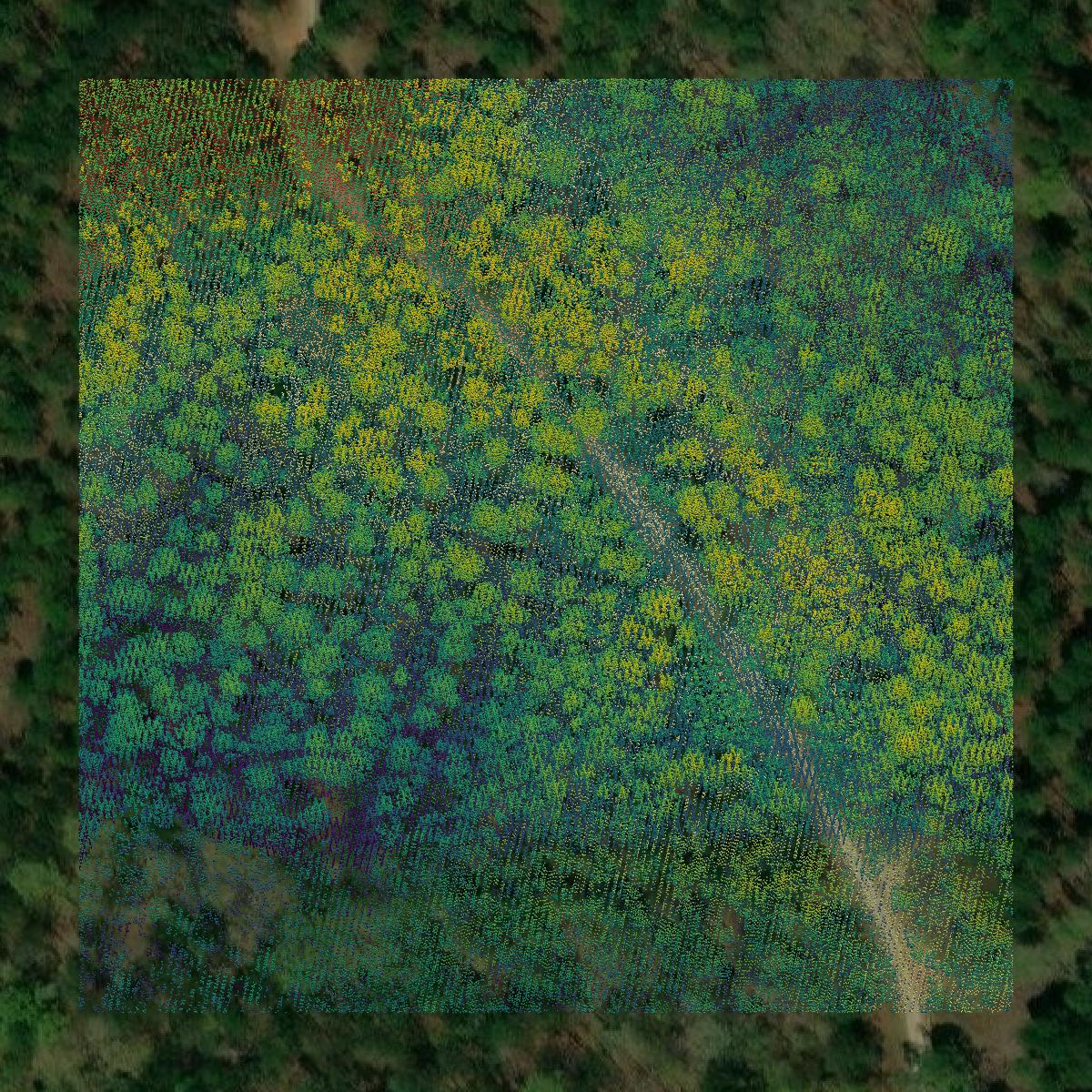 This image shows a LiDAR point cloud in Bibb County created using GIS data in Equator.