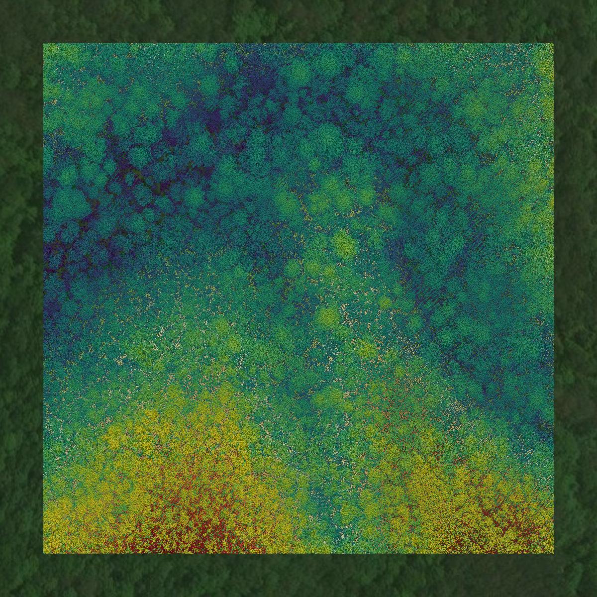 This image shows a LiDAR point cloud in Blount County created using GIS data in Equator.