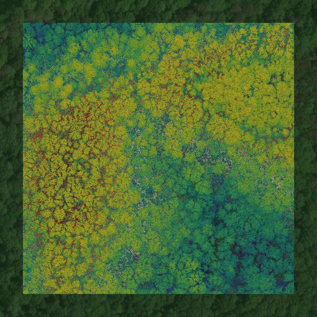 This image shows a LiDAR point cloud in Blount County created using GIS data in Equator.