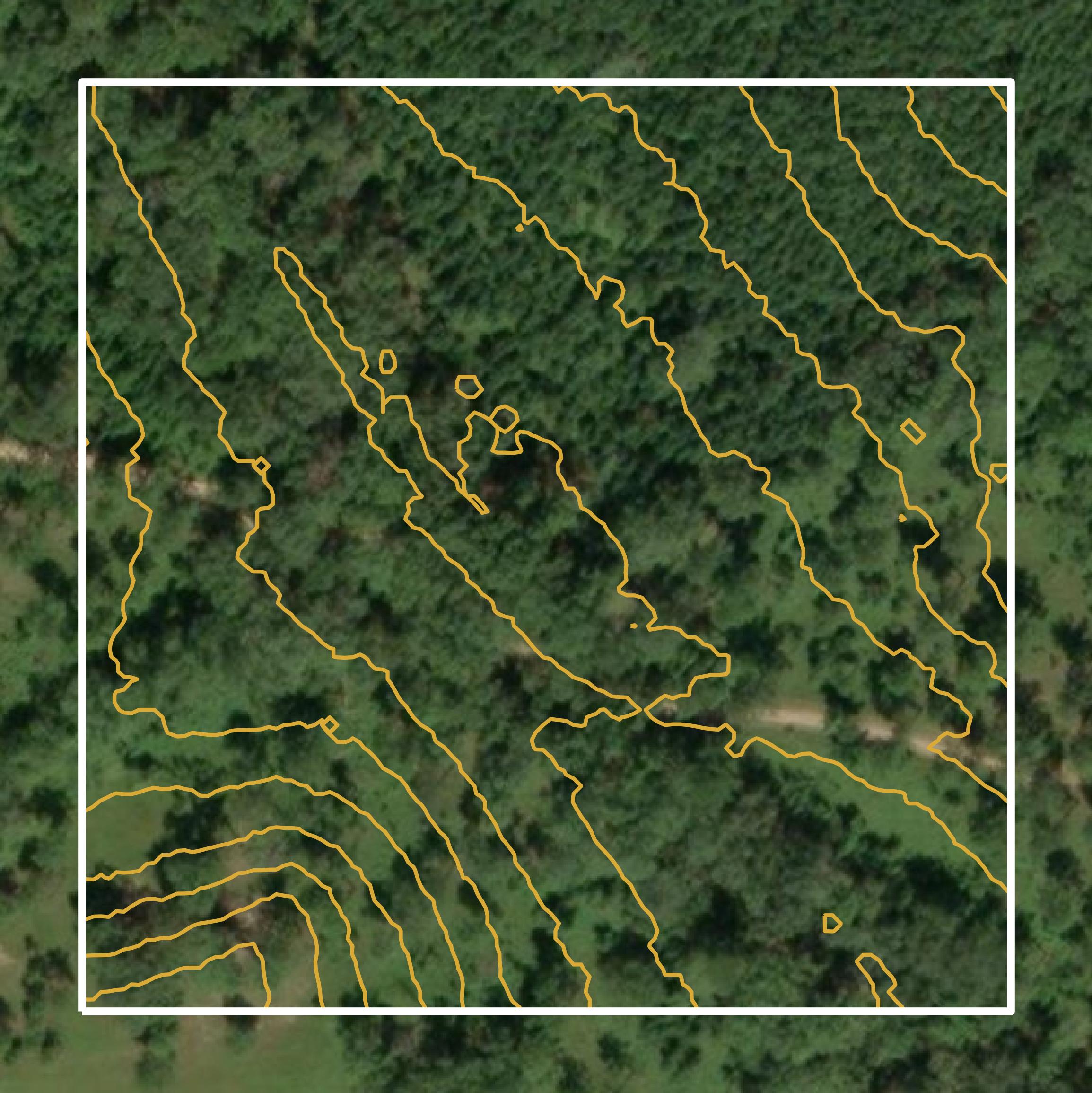 This image shows a contour map in Bullock County created using GIS data in Equator.