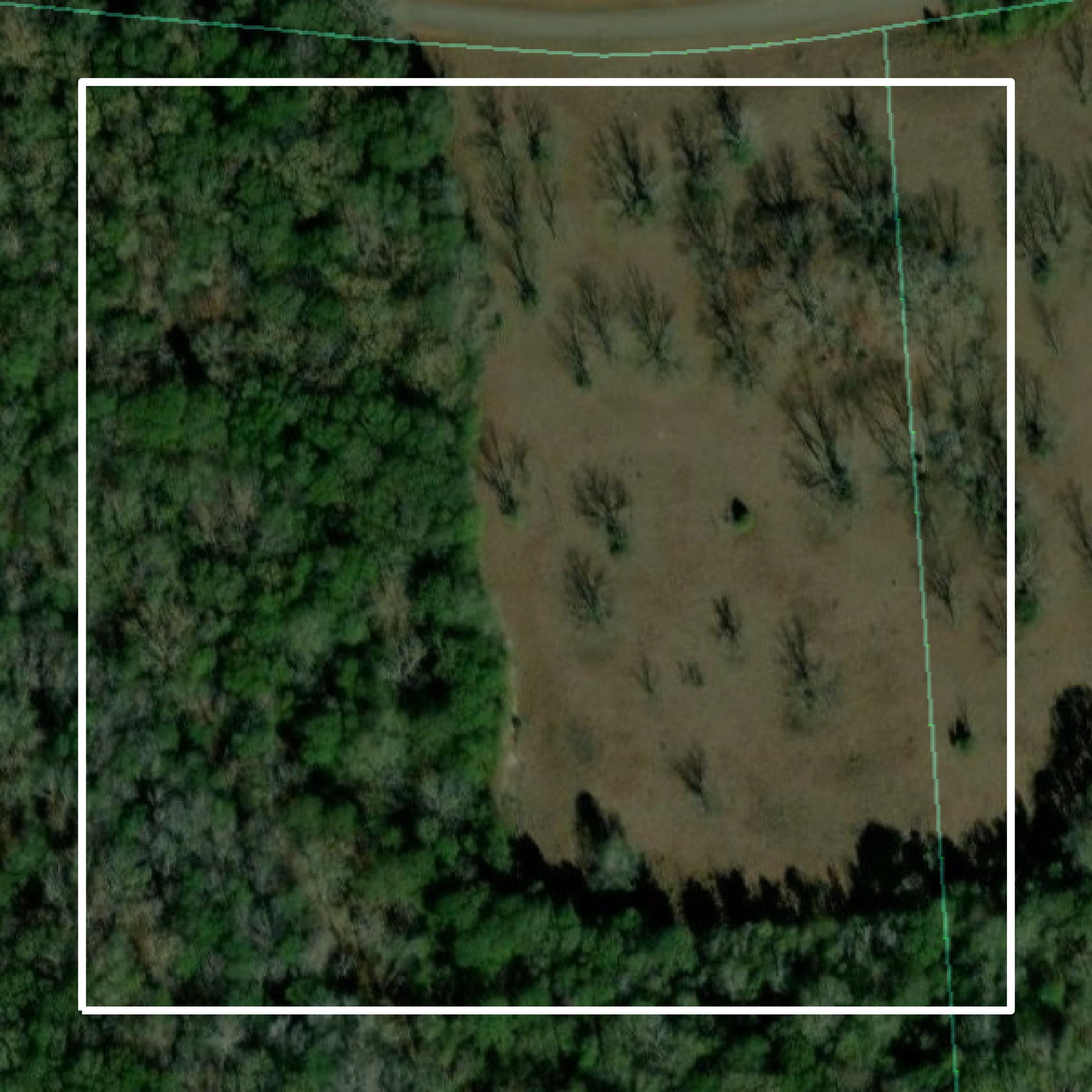 This image shows parcel and building data in Bullock County created using GIS data in Equator.