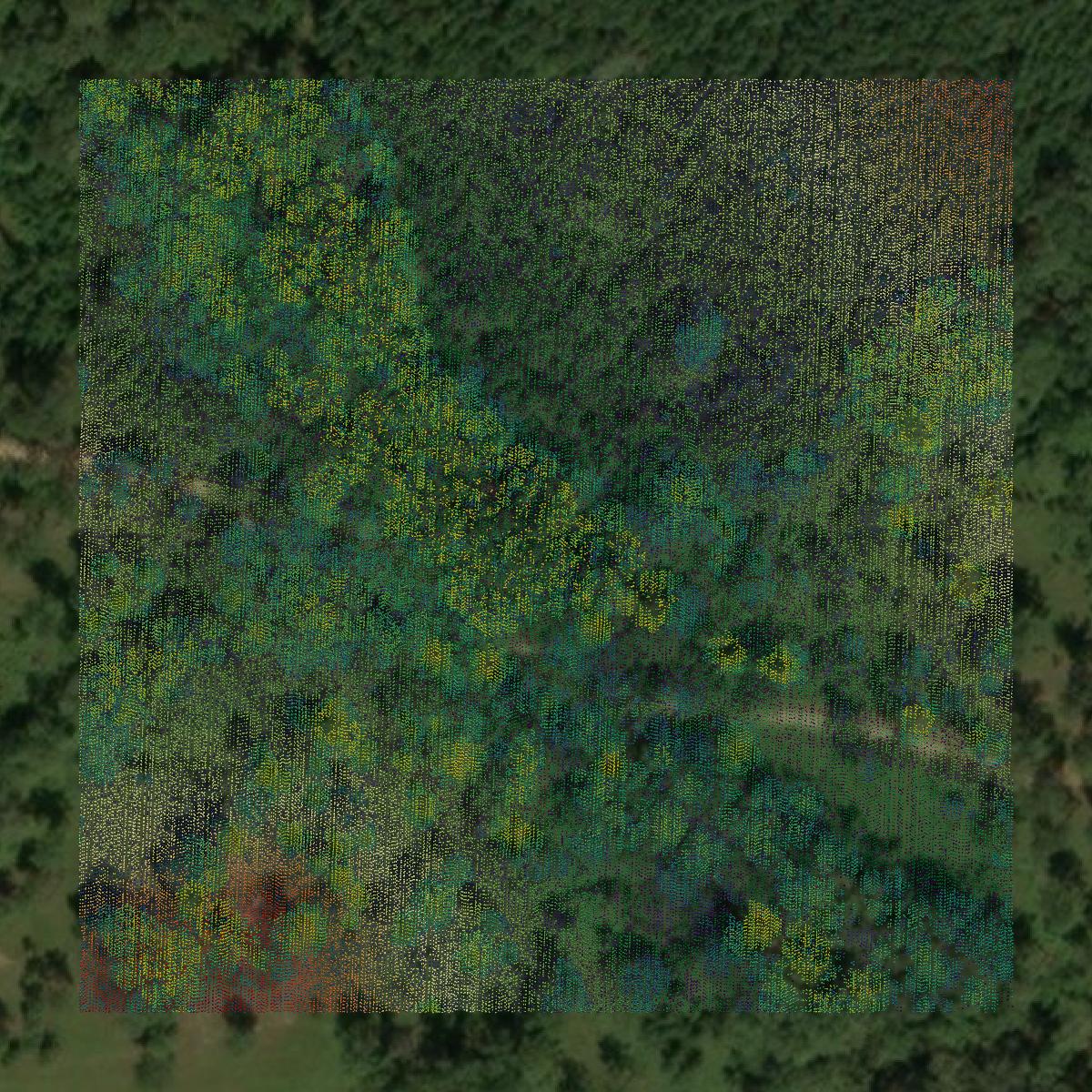 This image shows a LiDAR point cloud in Bullock County created using GIS data in Equator.
