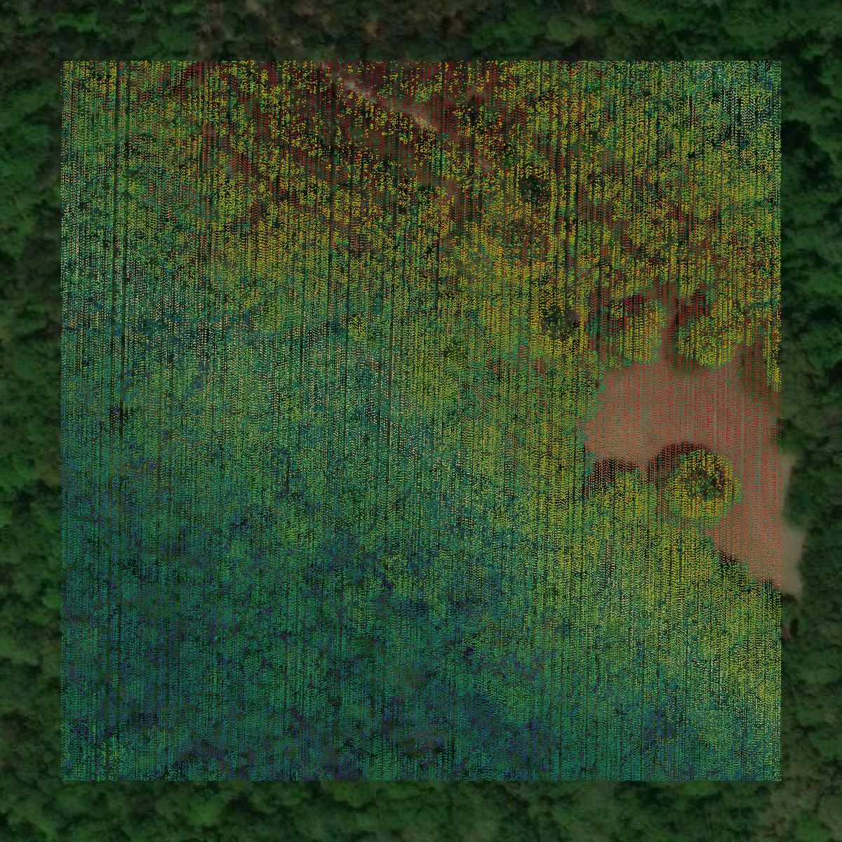 This image shows a LiDAR point cloud in Bullock County created using GIS data in Equator.