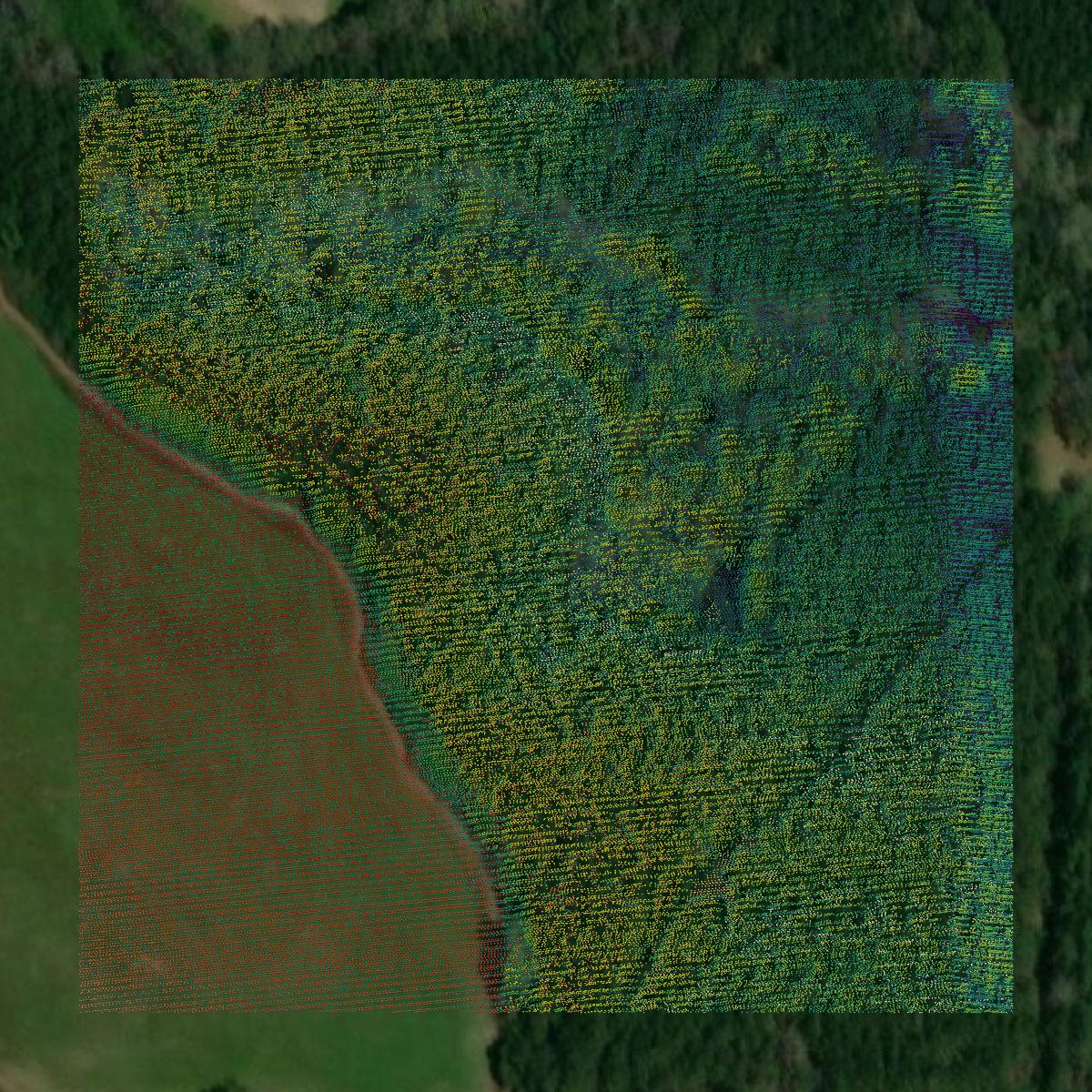 This image shows a LiDAR point cloud in Butler County created using GIS data in Equator.