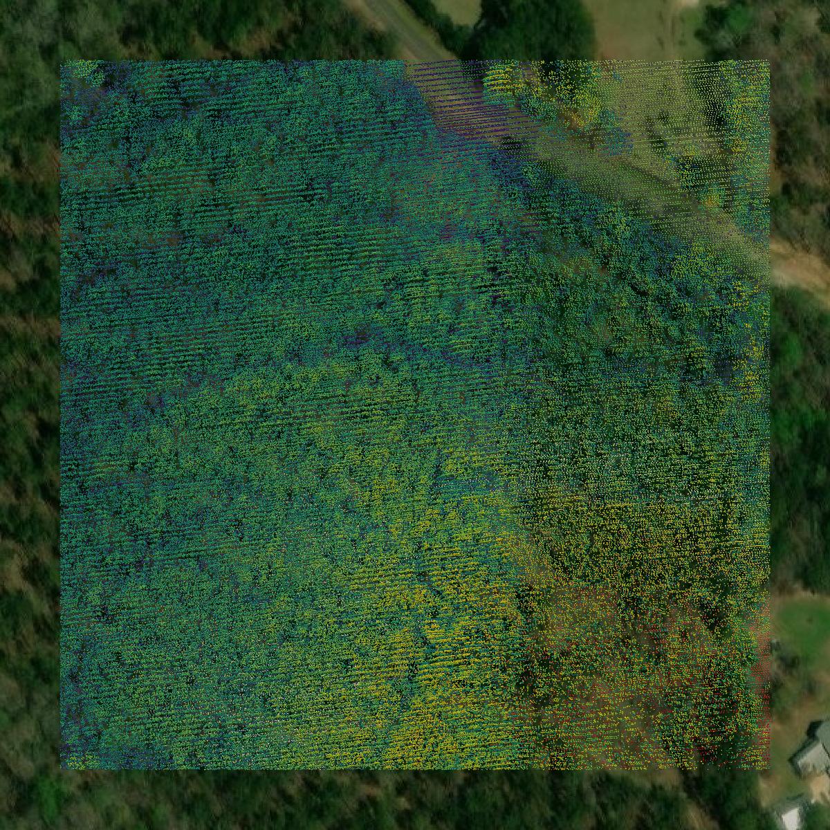 This image shows a LiDAR point cloud in Butler County created using GIS data in Equator.