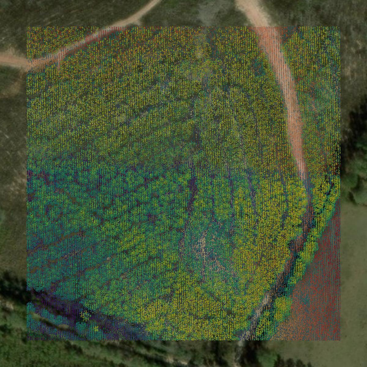 This image shows a LiDAR point cloud in Chambers County created using GIS data in Equator.