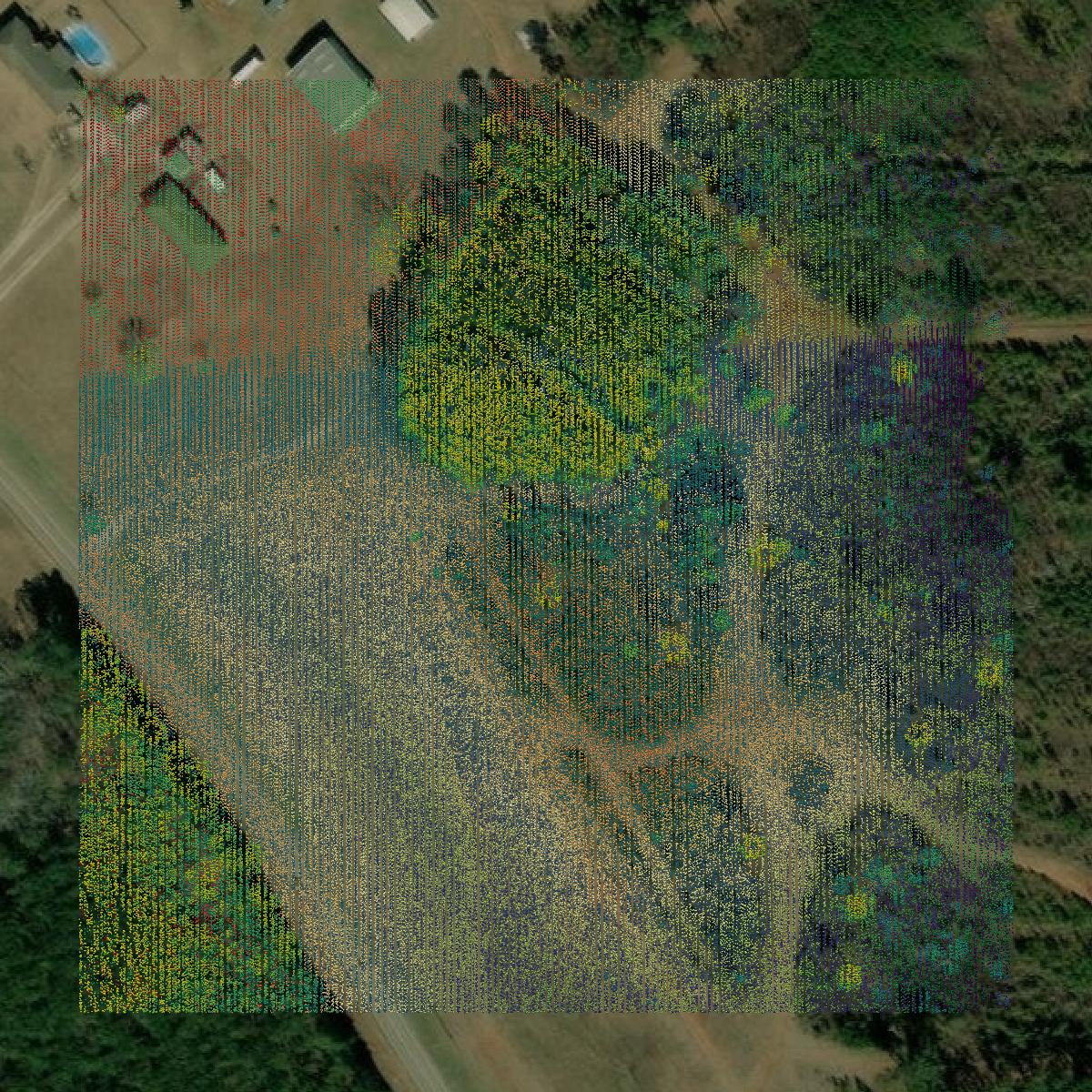 This image shows a LiDAR point cloud in Chambers County created using GIS data in Equator.