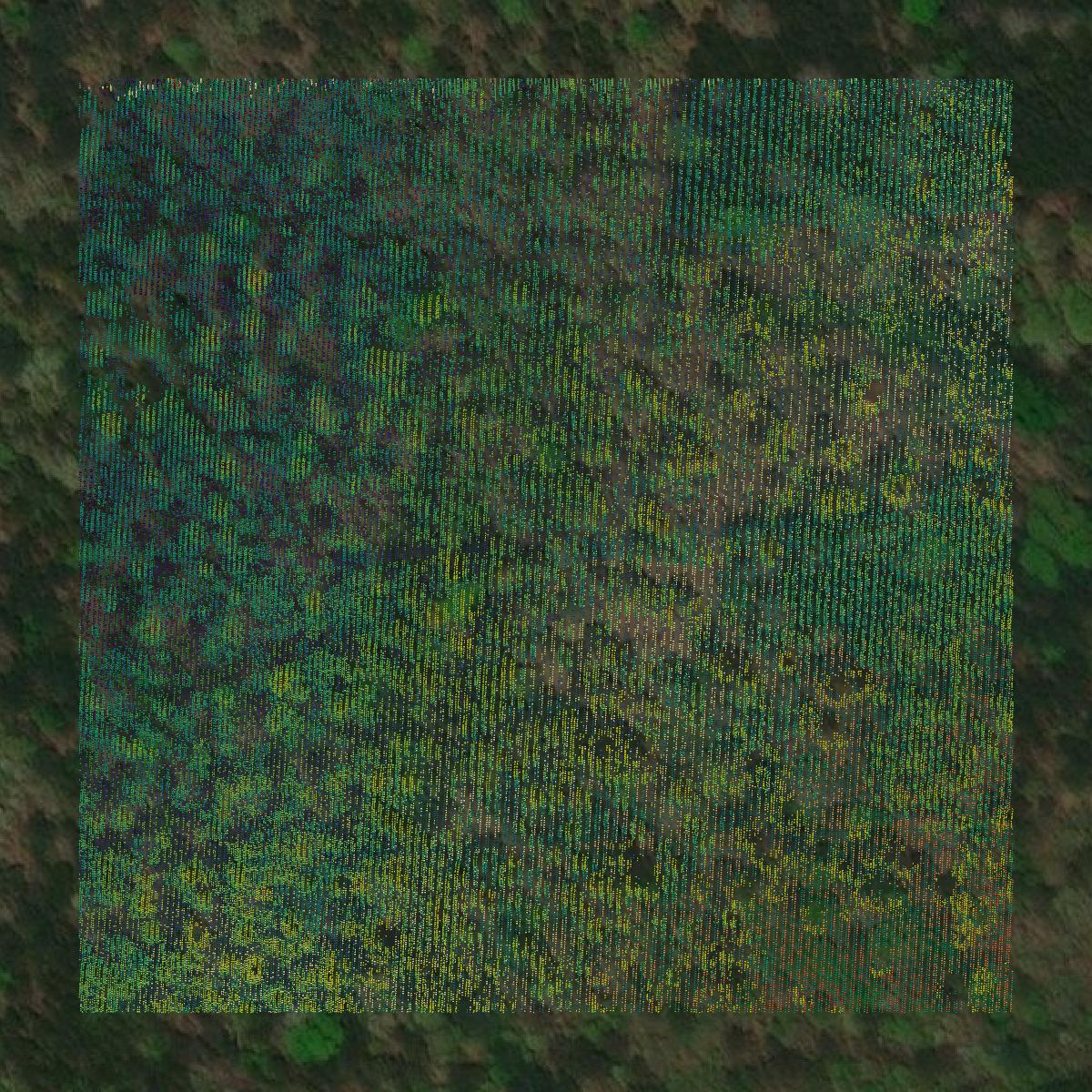 This image shows a LiDAR point cloud in Cherokee County created using GIS data in Equator.
