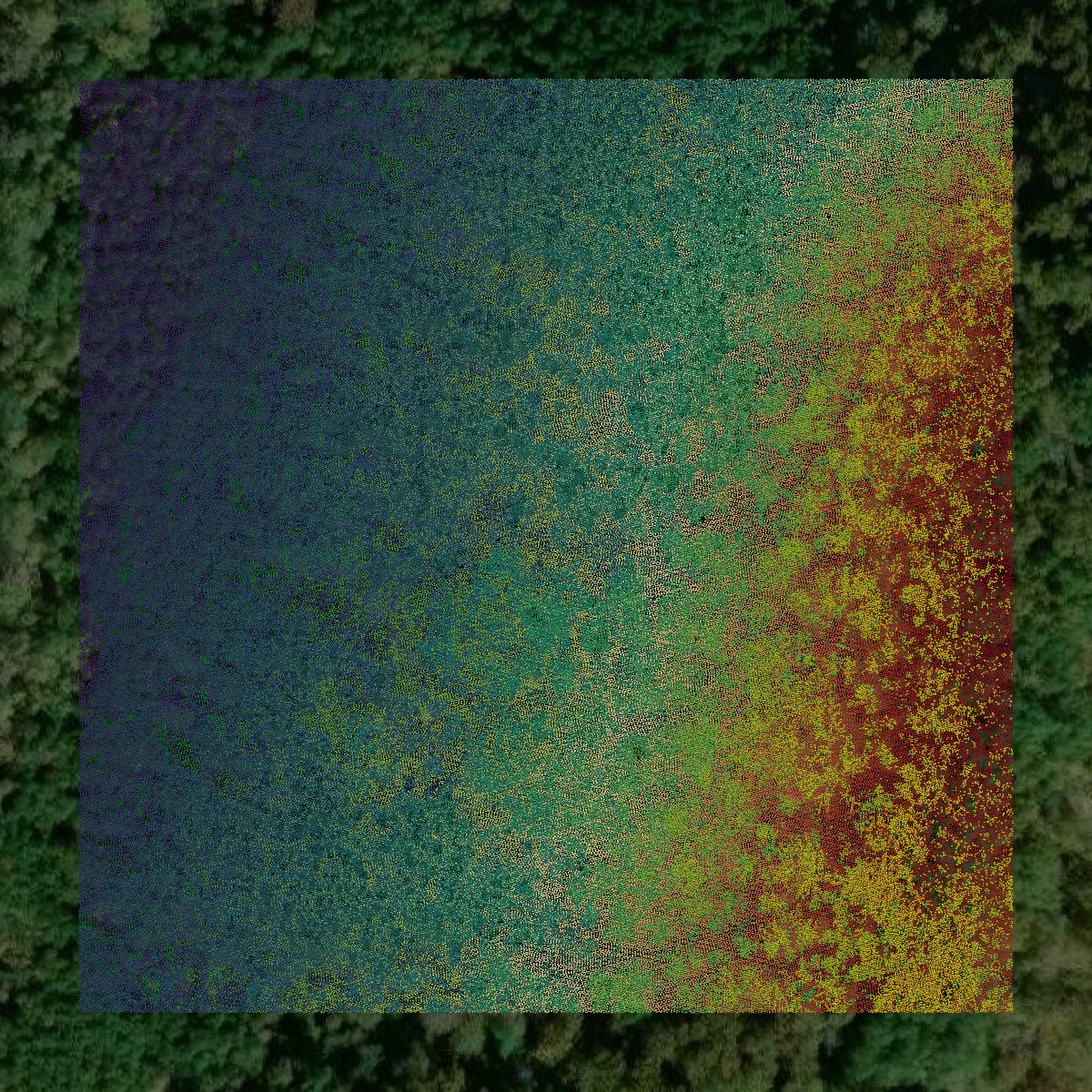 This image shows a LiDAR point cloud in Cherokee County created using GIS data in Equator.