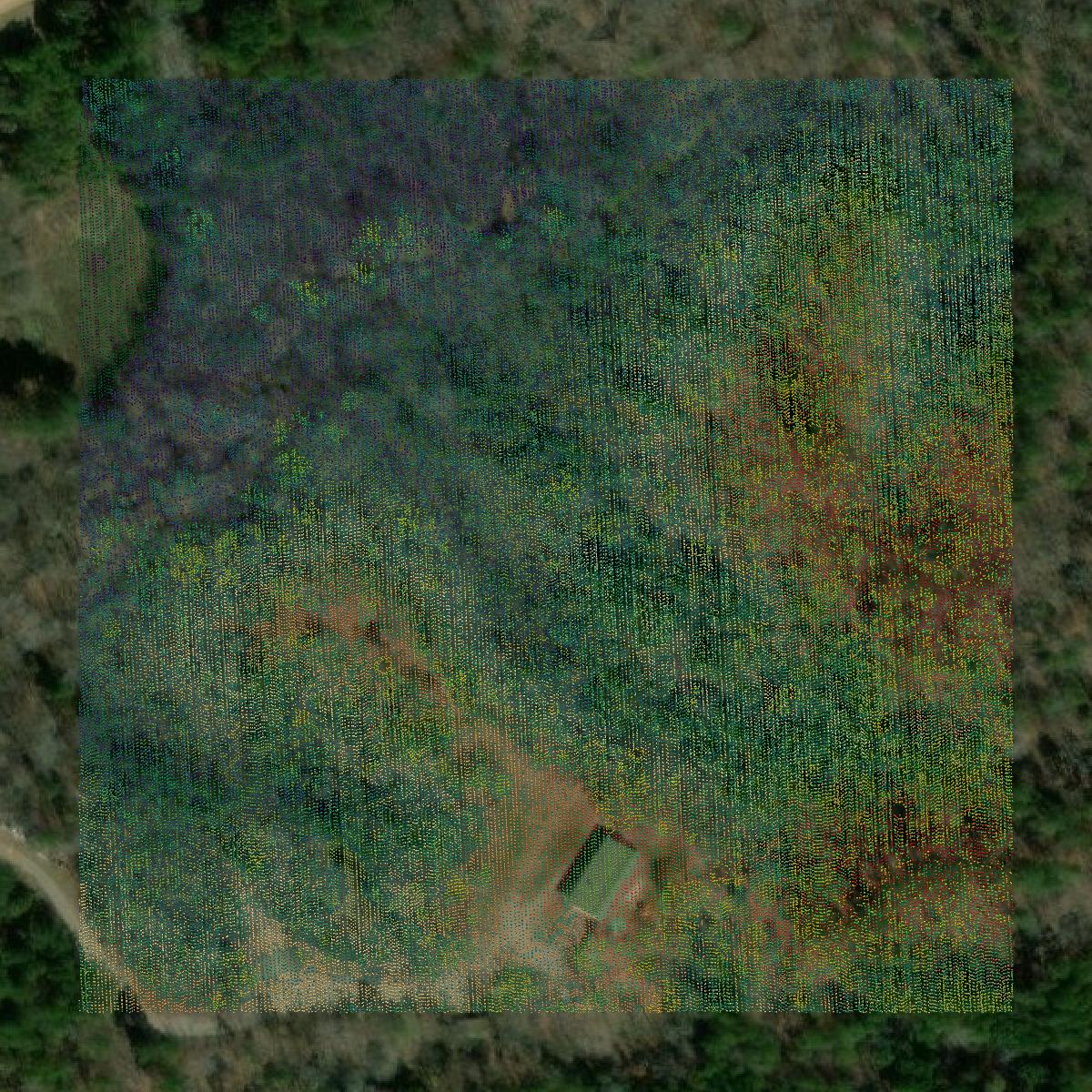 This image shows a LiDAR point cloud in Chilton County created using GIS data in Equator.