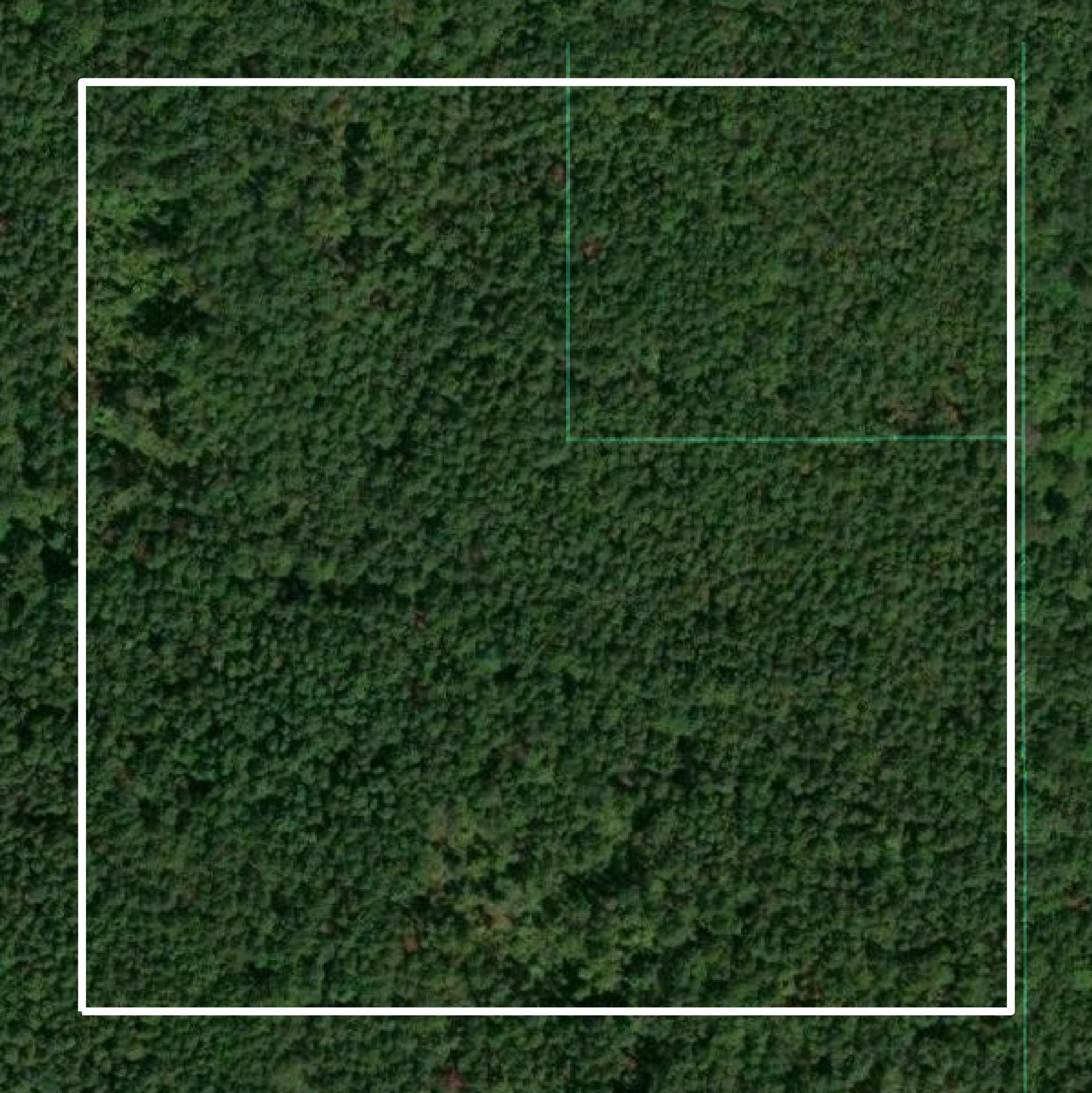This image shows parcel and building data in Choctaw County created using GIS data in Equator.