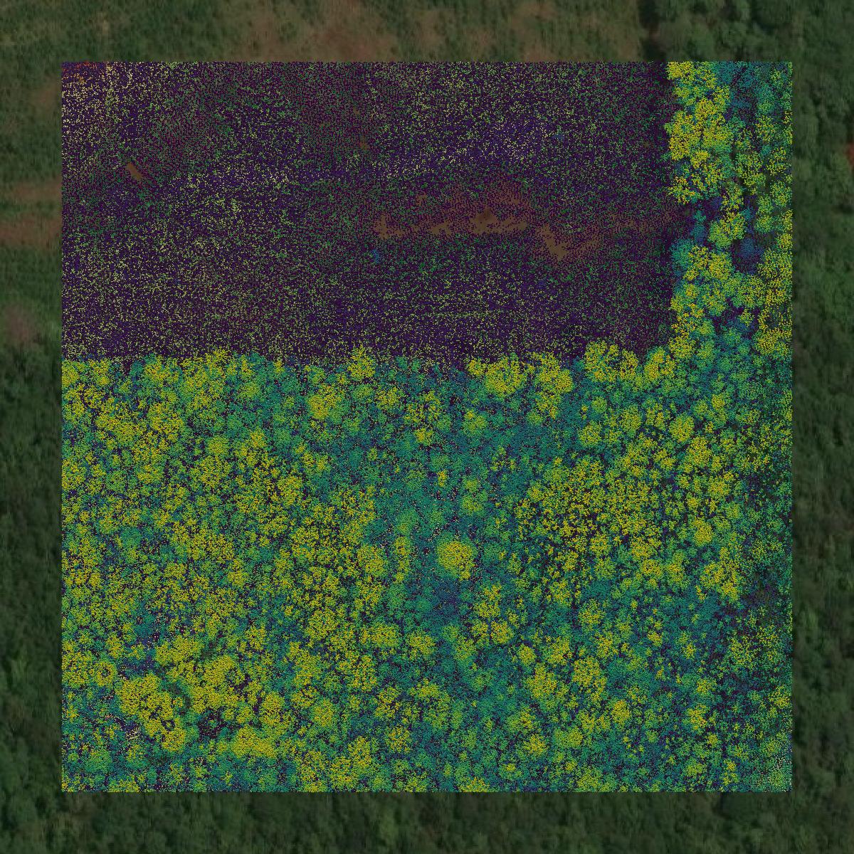 This image shows a LiDAR point cloud in Choctaw County created using GIS data in Equator.