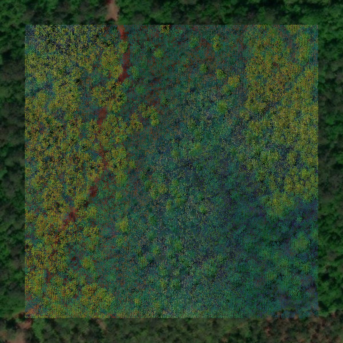 This image shows a LiDAR point cloud in Clarke County created using GIS data in Equator.