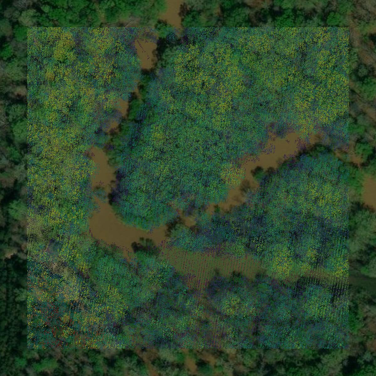 This image shows a LiDAR point cloud in Clarke County created using GIS data in Equator.