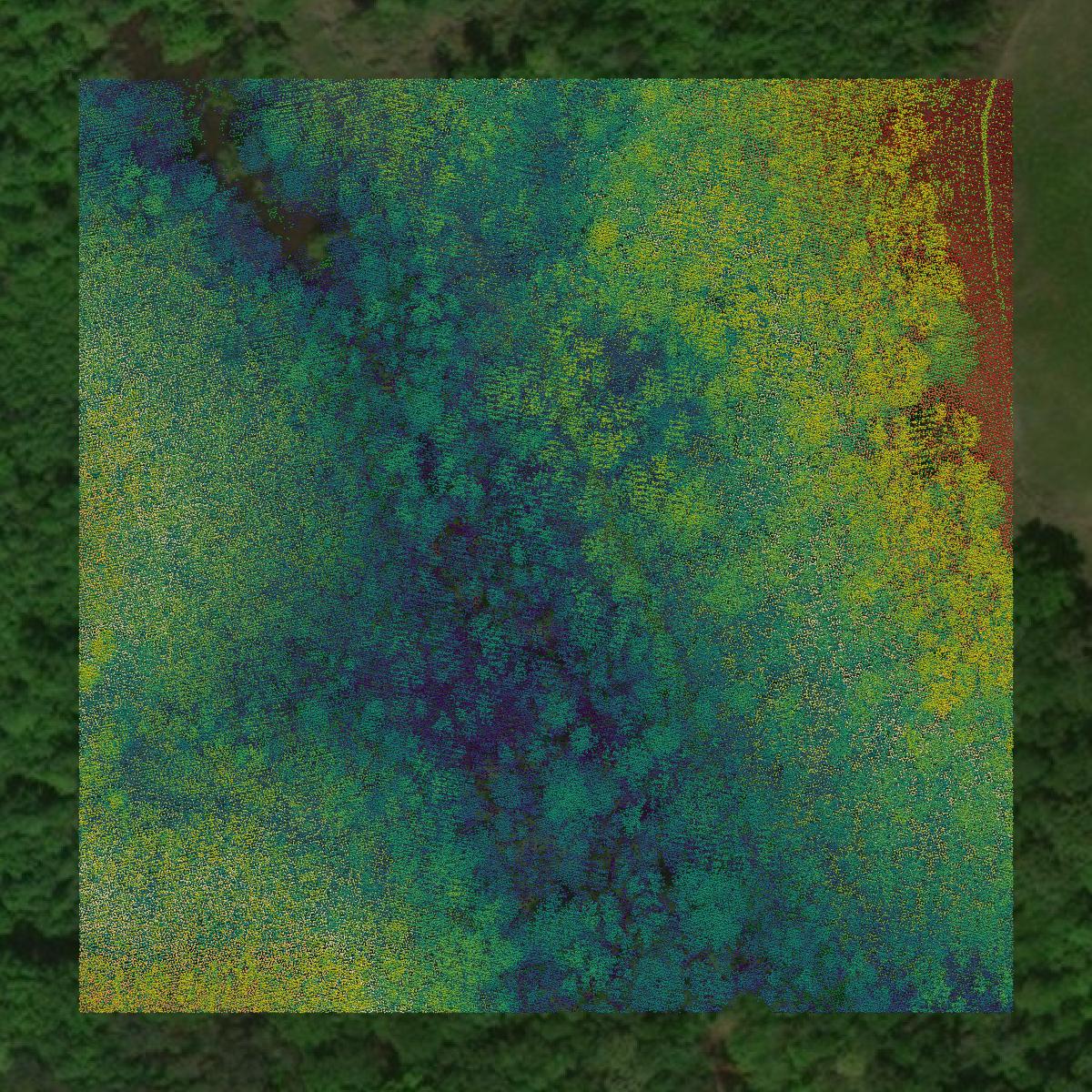 This image shows a LiDAR point cloud in Clay County created using GIS data in Equator.