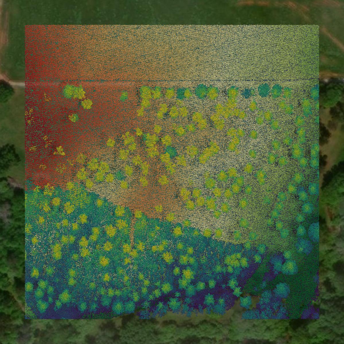 This image shows a LiDAR point cloud in Clay County created using GIS data in Equator.