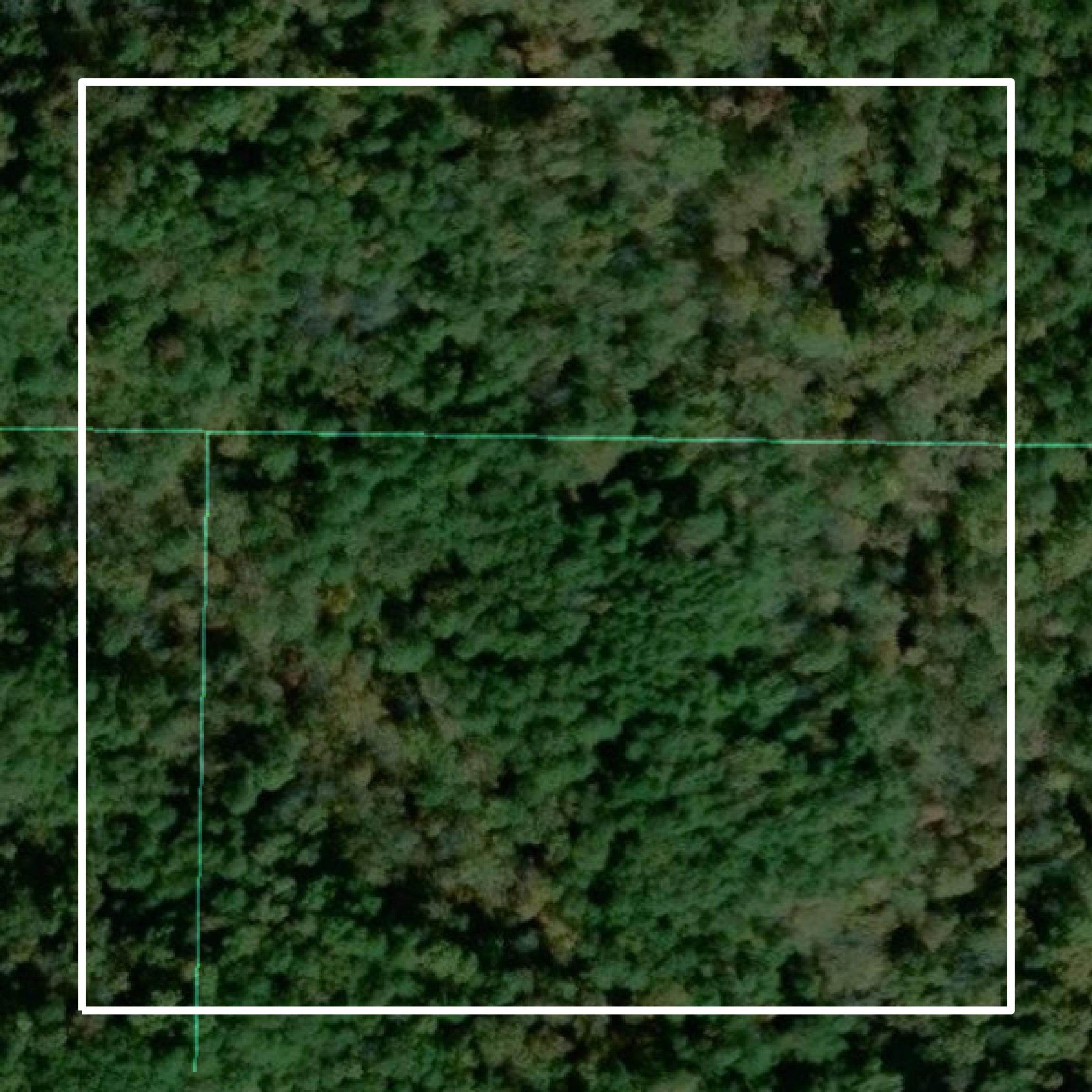 This image shows parcel and building data in Cleburne County created using GIS data in Equator.