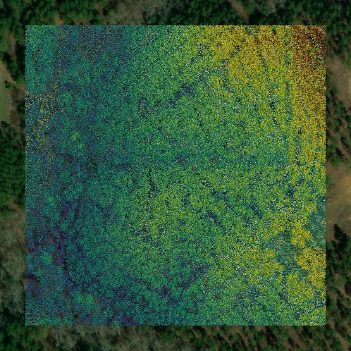 This image shows a LiDAR point cloud in Cleburne County created using GIS data in Equator.