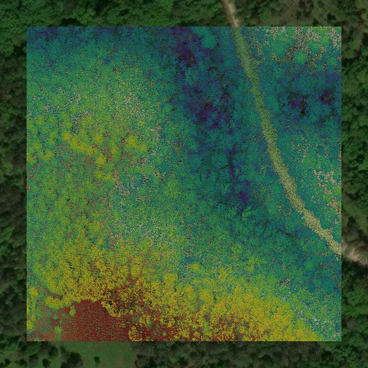 This image shows a LiDAR point cloud in Cleburne County created using GIS data in Equator.