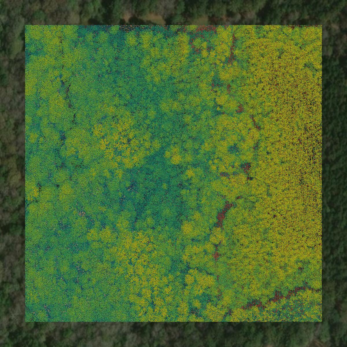 This image shows a LiDAR point cloud in Coffee County created using GIS data in Equator.