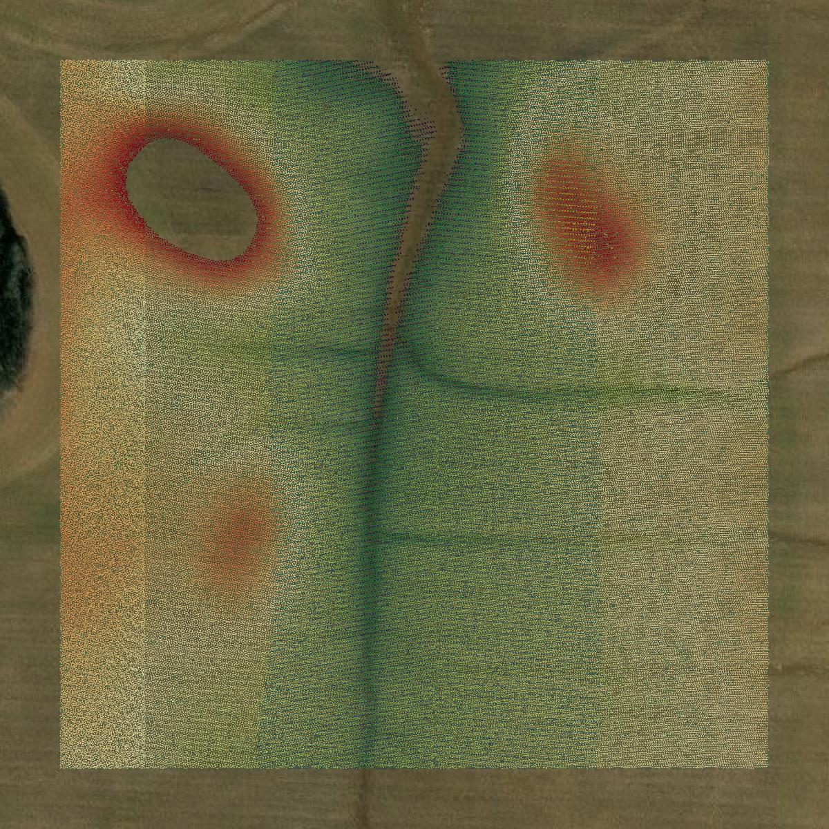 This image shows a LiDAR point cloud in Colbert County created using GIS data in Equator.