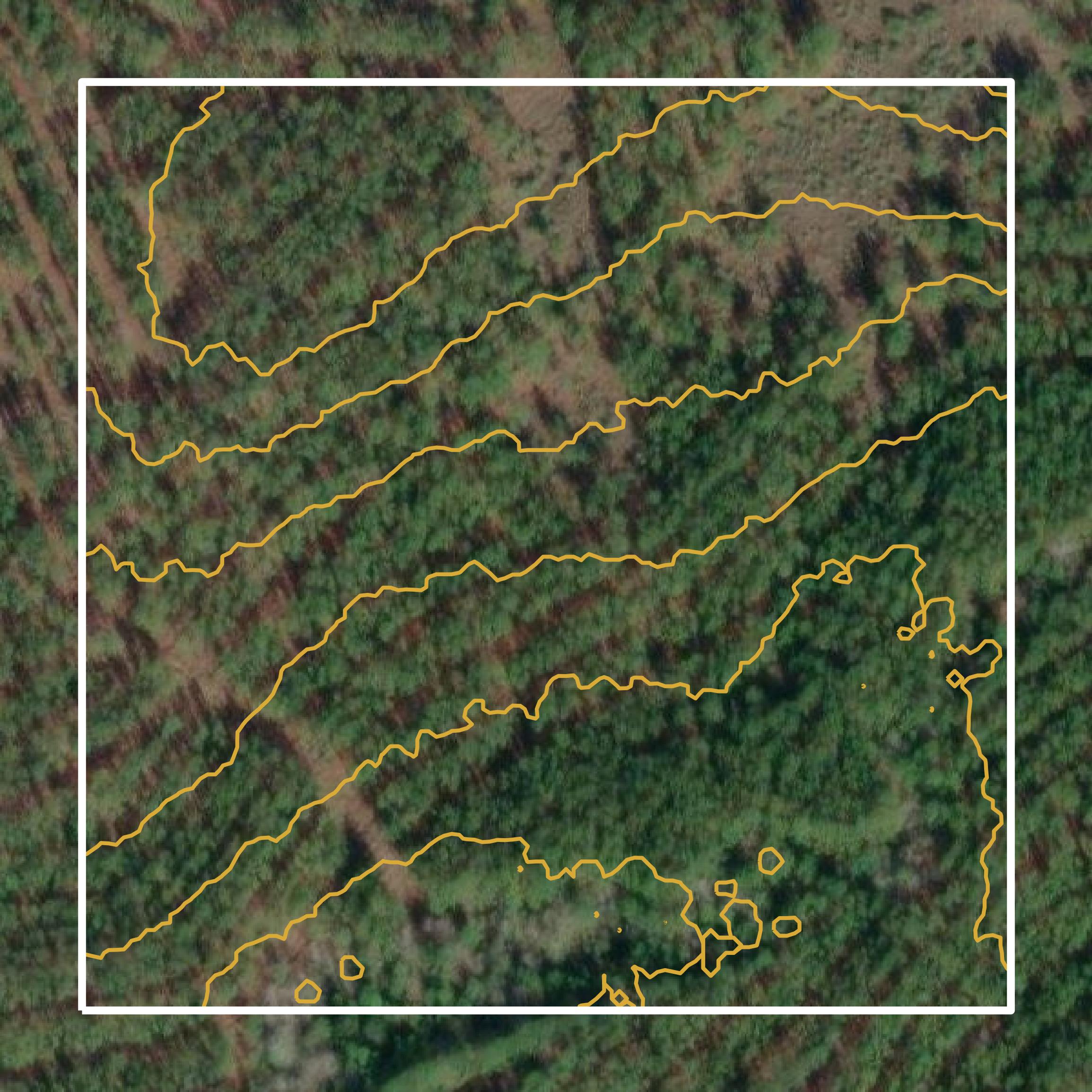 This image shows a contour map in Conecuh County created using GIS data in Equator.