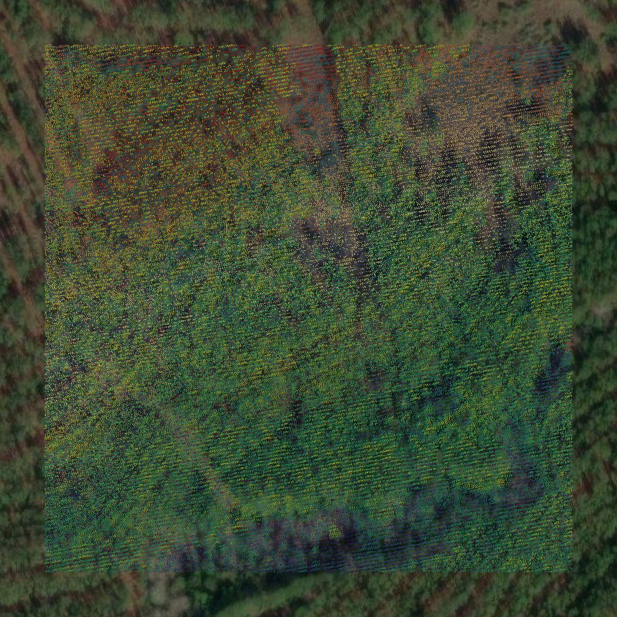 This image shows a LiDAR point cloud in Conecuh County created using GIS data in Equator.