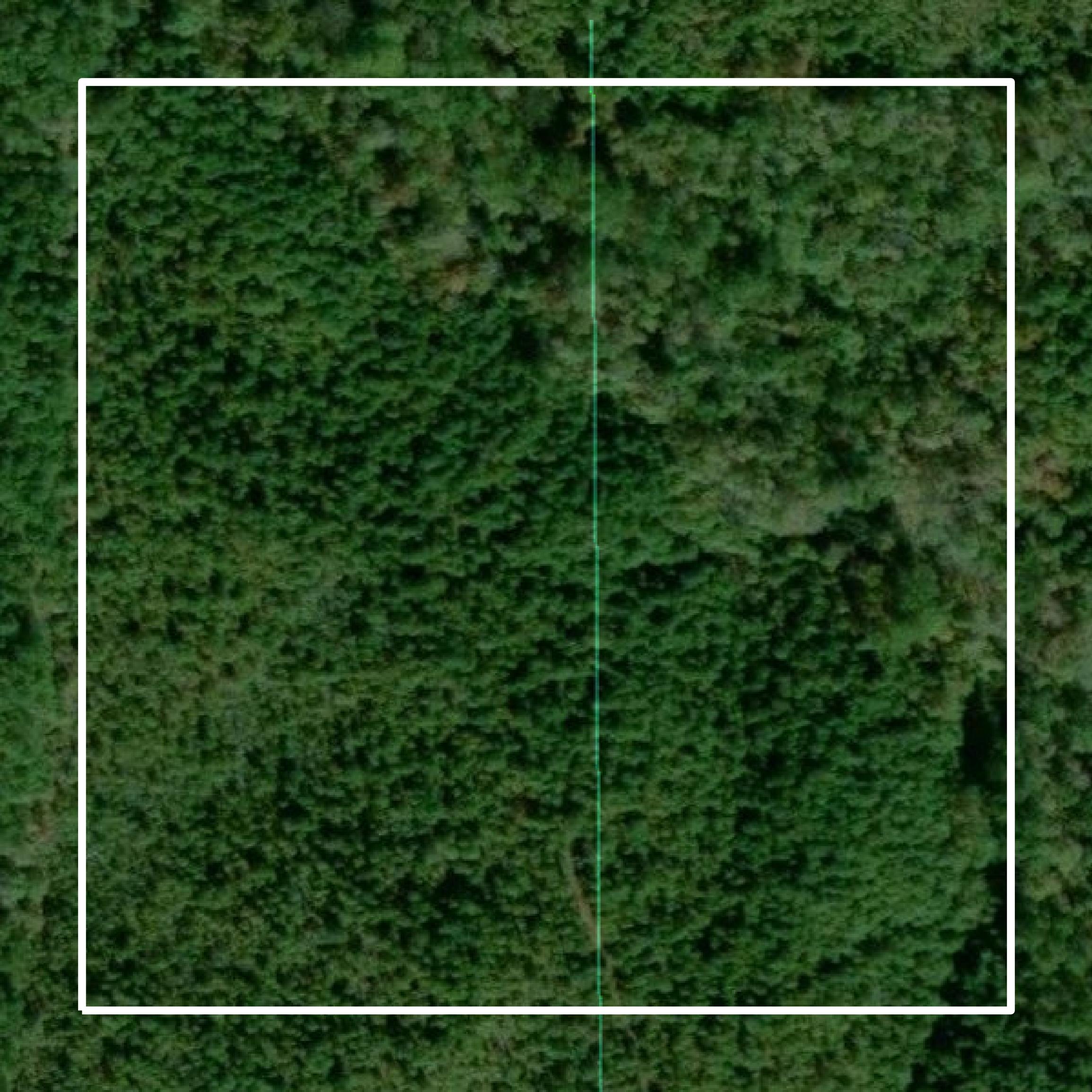 This image shows parcel and building data in Coosa County created using GIS data in Equator.