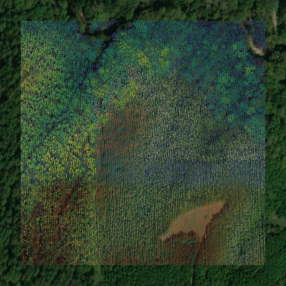 This image shows a LiDAR point cloud in Coosa County created using GIS data in Equator.