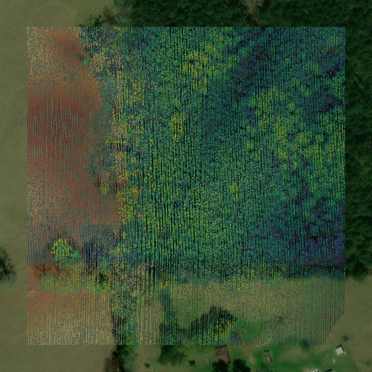 This image shows a LiDAR point cloud in Coosa County created using GIS data in Equator.
