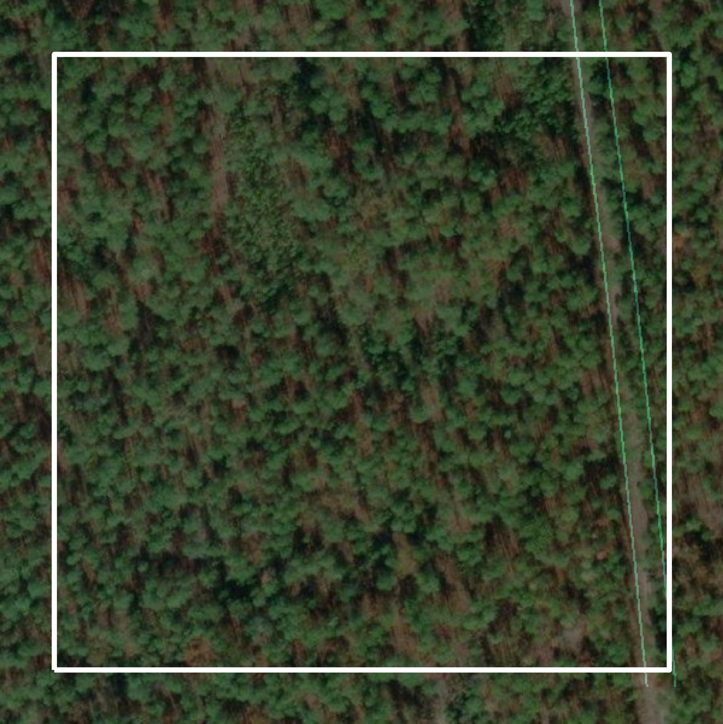 This image shows parcel and building data in Covington County created using GIS data in Equator.