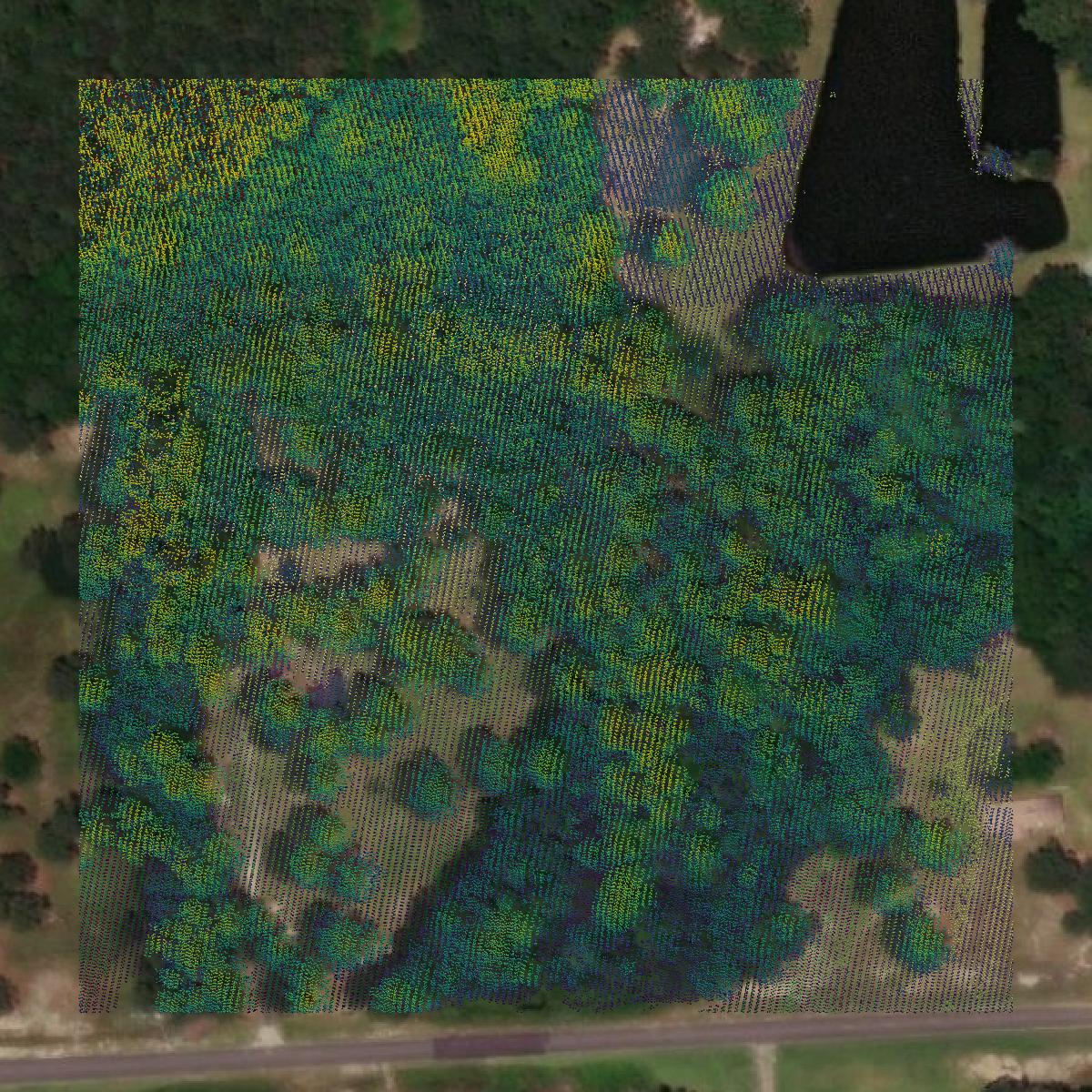This image shows a LiDAR point cloud in Covington County created using GIS data in Equator.