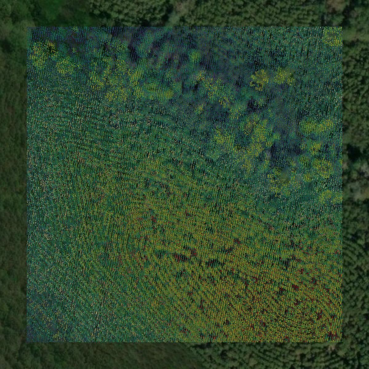 This image shows a LiDAR point cloud in Covington County created using GIS data in Equator.