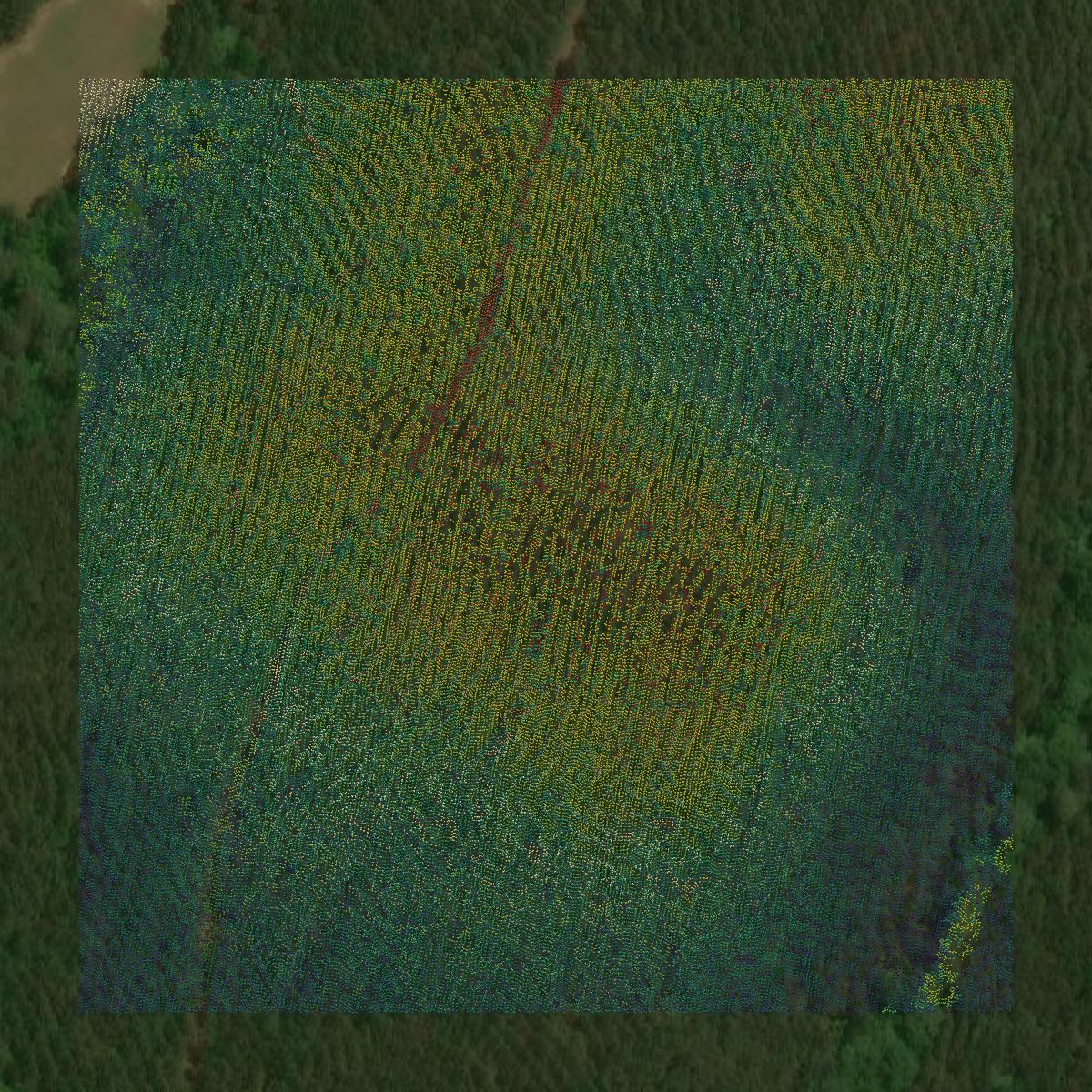 This image shows a LiDAR point cloud in Crenshaw County created using GIS data in Equator.