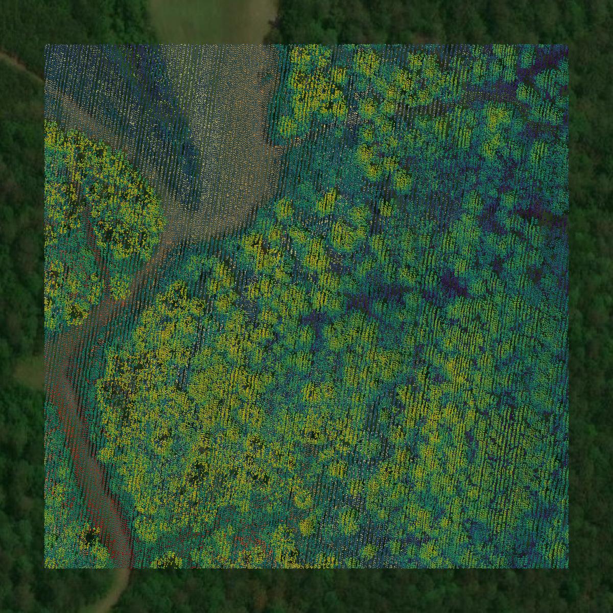 This image shows a LiDAR point cloud in Crenshaw County created using GIS data in Equator.
