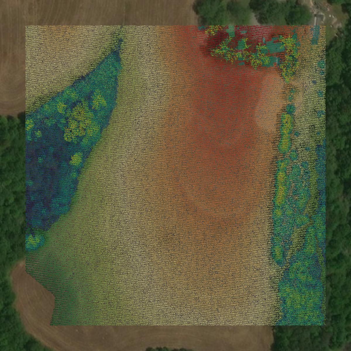 This image shows a LiDAR point cloud in Cullman County created using GIS data in Equator.