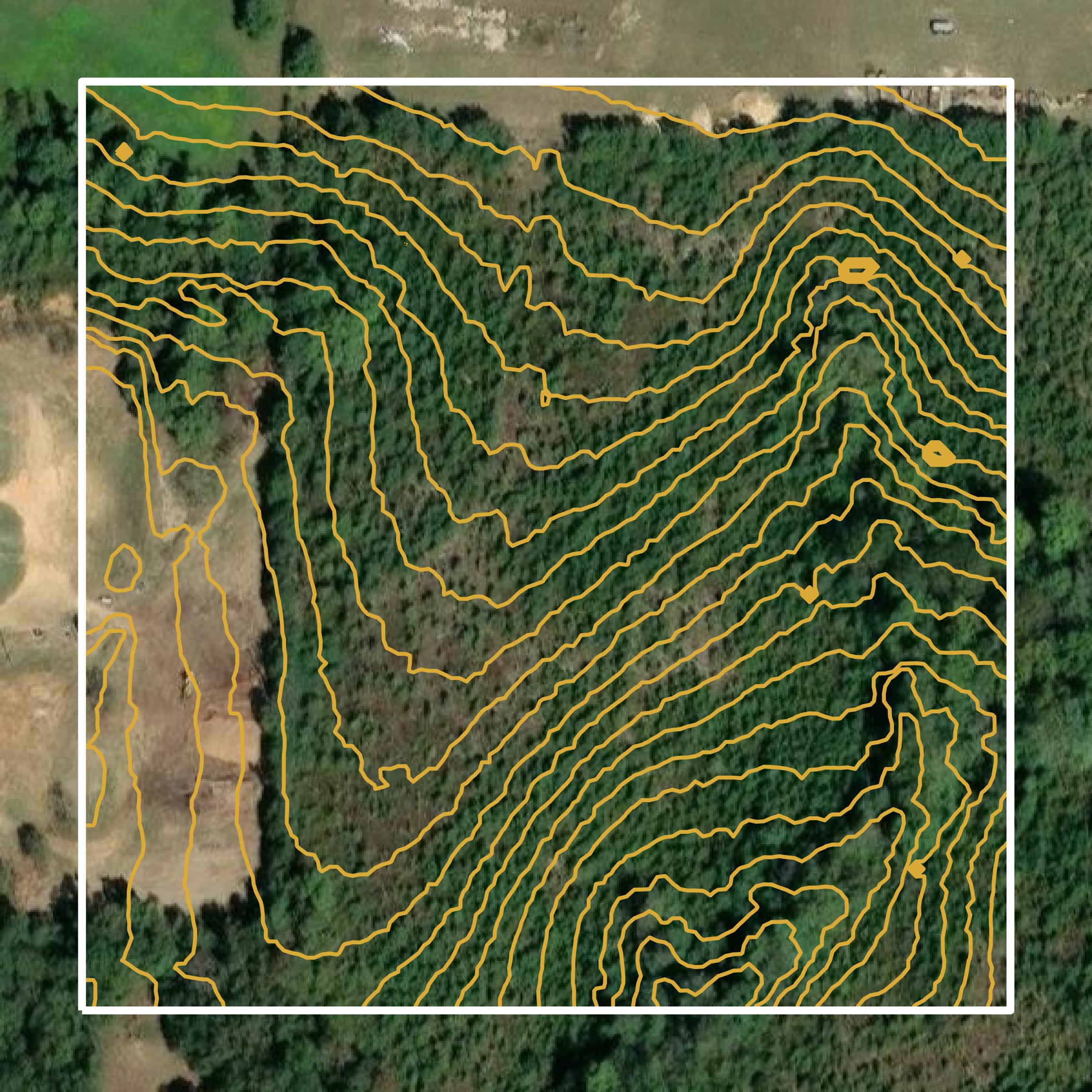 This image shows a contour map in Dale County created using GIS data in Equator.