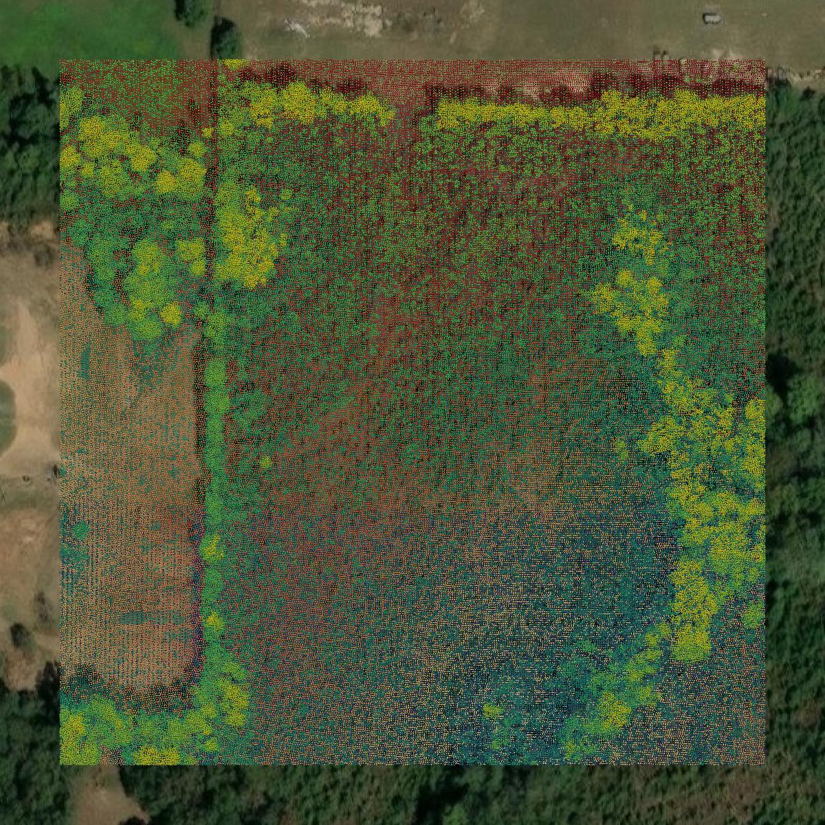 This image shows a LiDAR point cloud in Dale County created using GIS data in Equator.