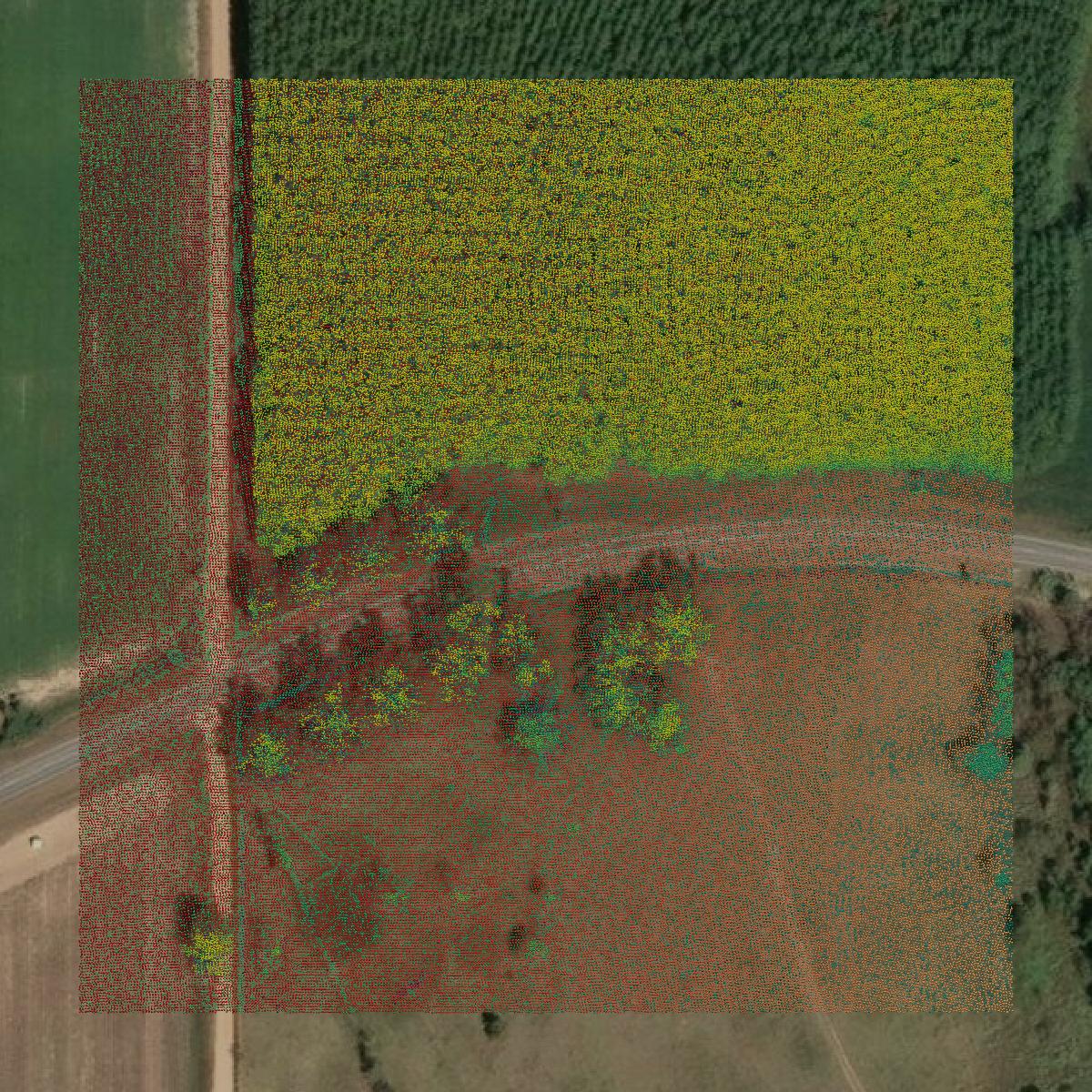 This image shows a LiDAR point cloud in Dale County created using GIS data in Equator.