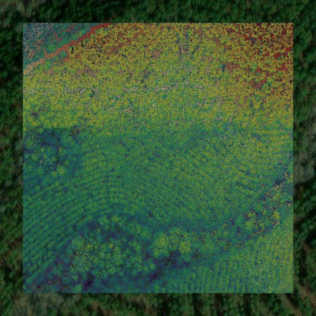 This image shows a LiDAR point cloud in Dallas County created using GIS data in Equator.