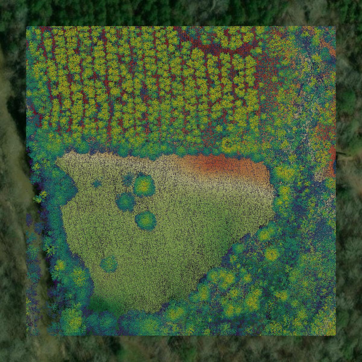 This image shows a LiDAR point cloud in Dallas County created using GIS data in Equator.