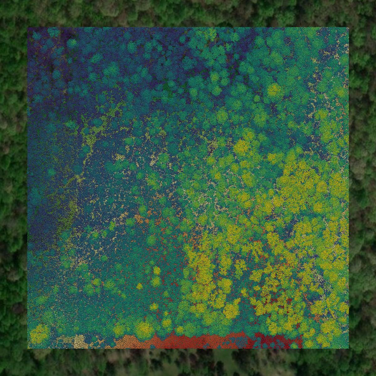 This image shows a LiDAR point cloud in DeKalb County created using GIS data in Equator.