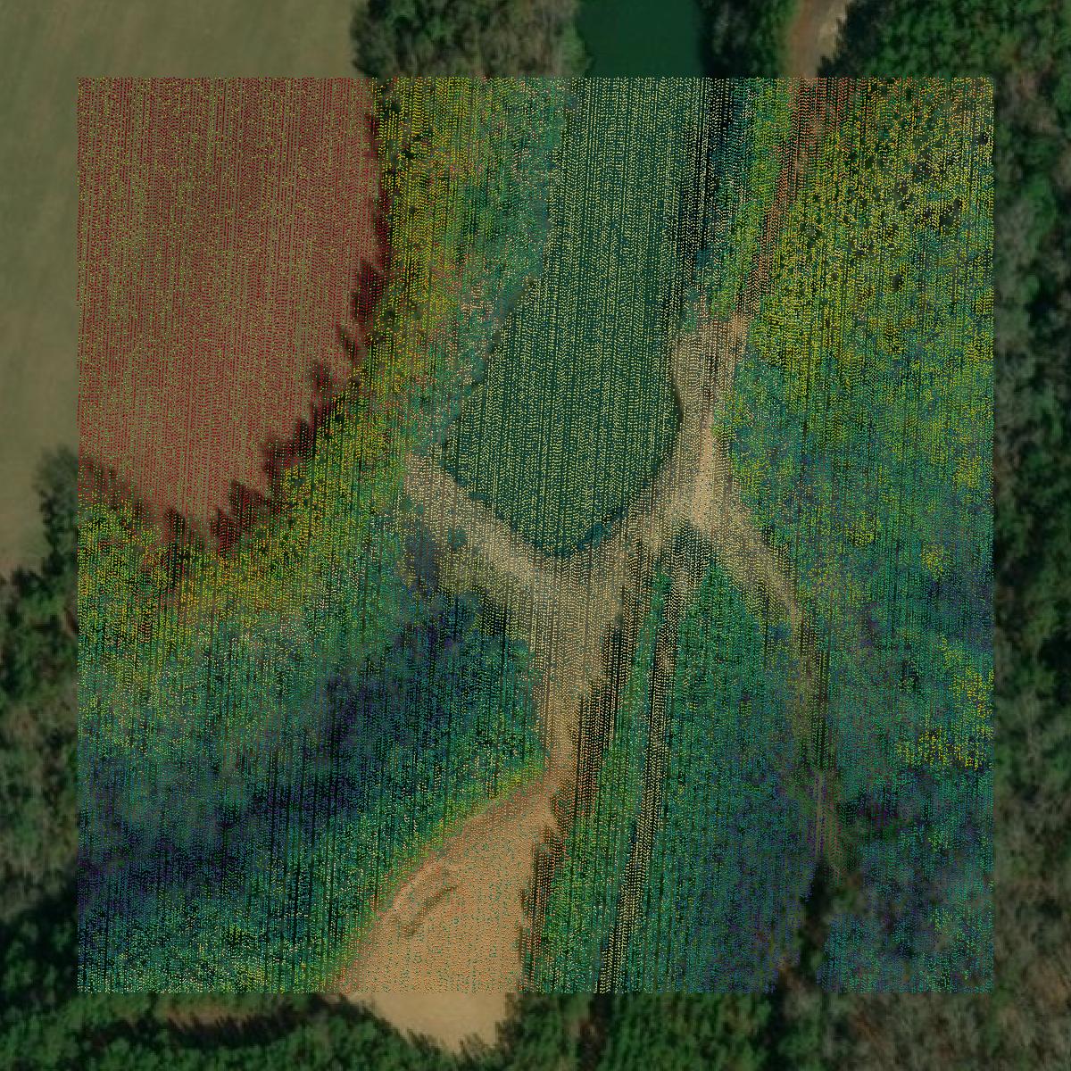 This image shows a LiDAR point cloud in Elmore County created using GIS data in Equator.